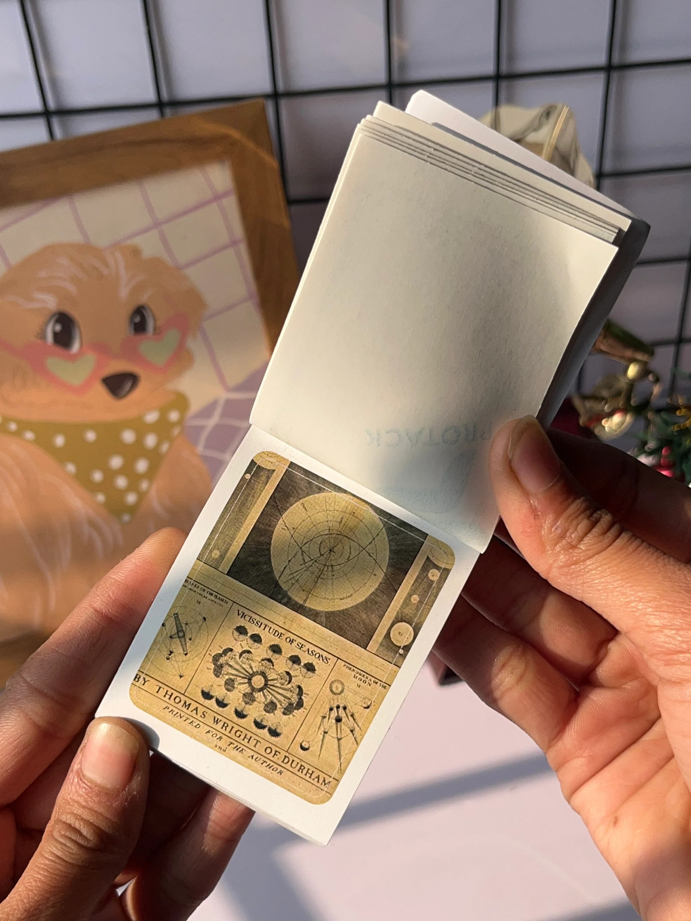 Thumbnail 16