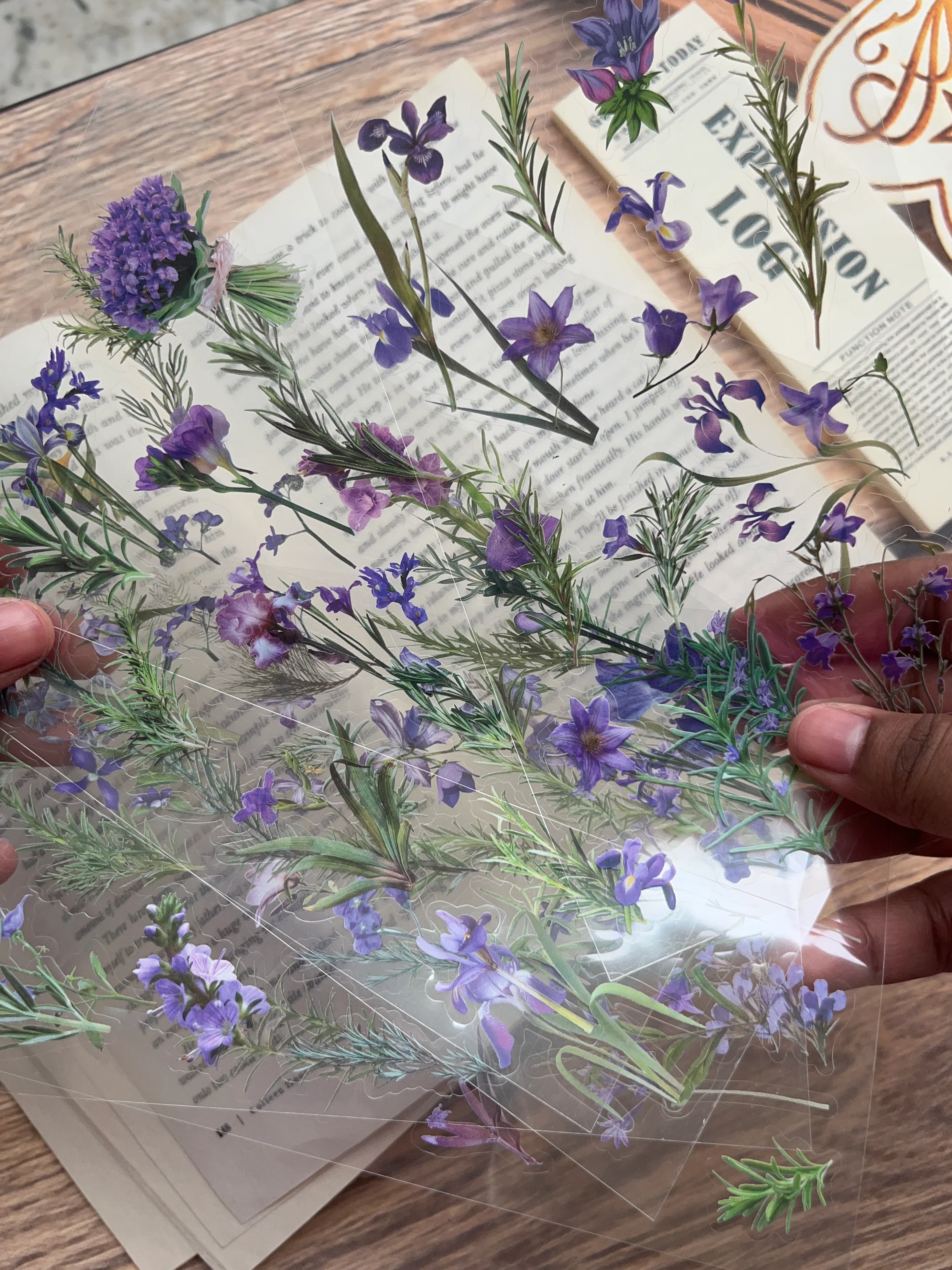 Thumbnail 11