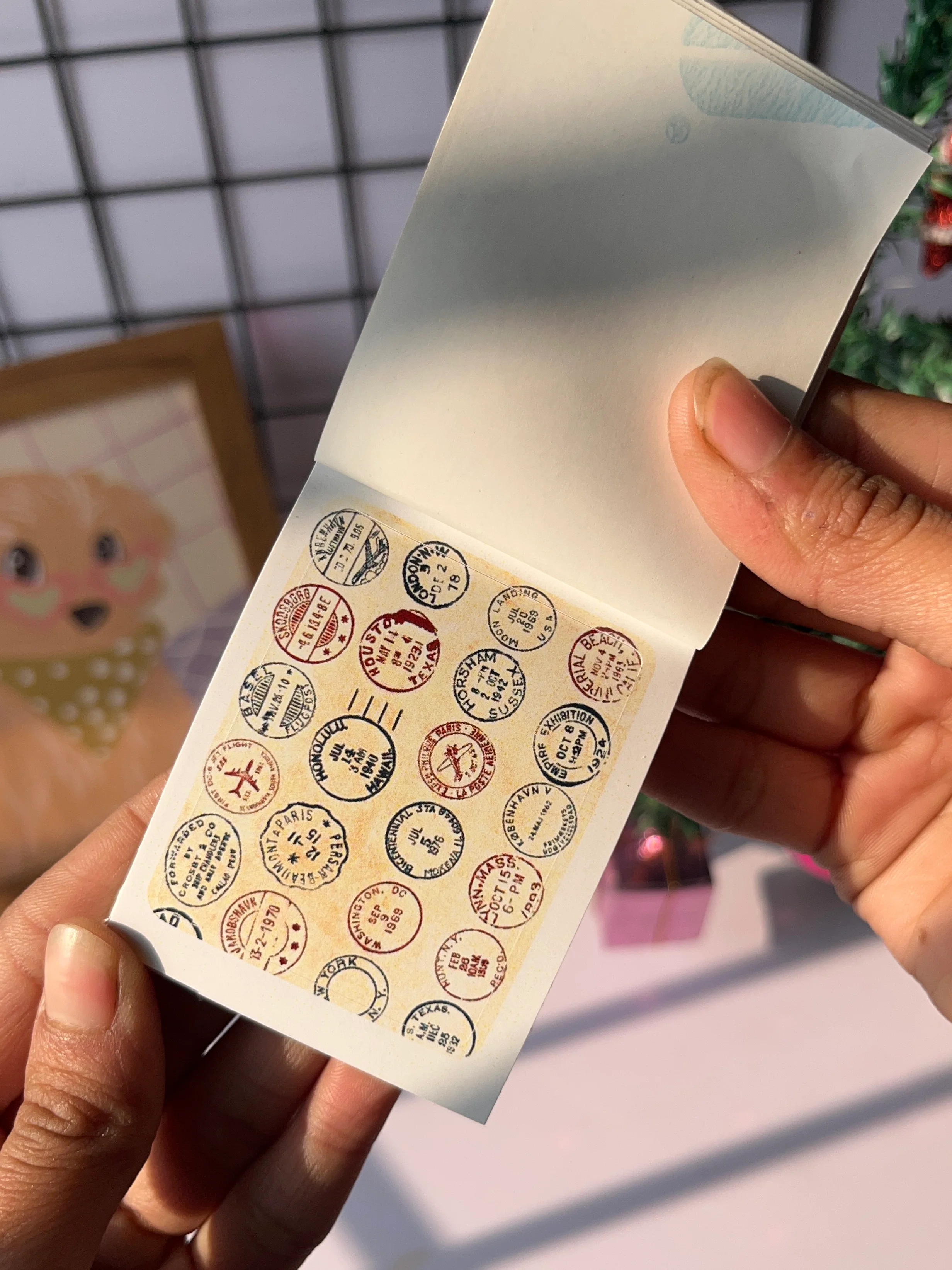Thumbnail 5