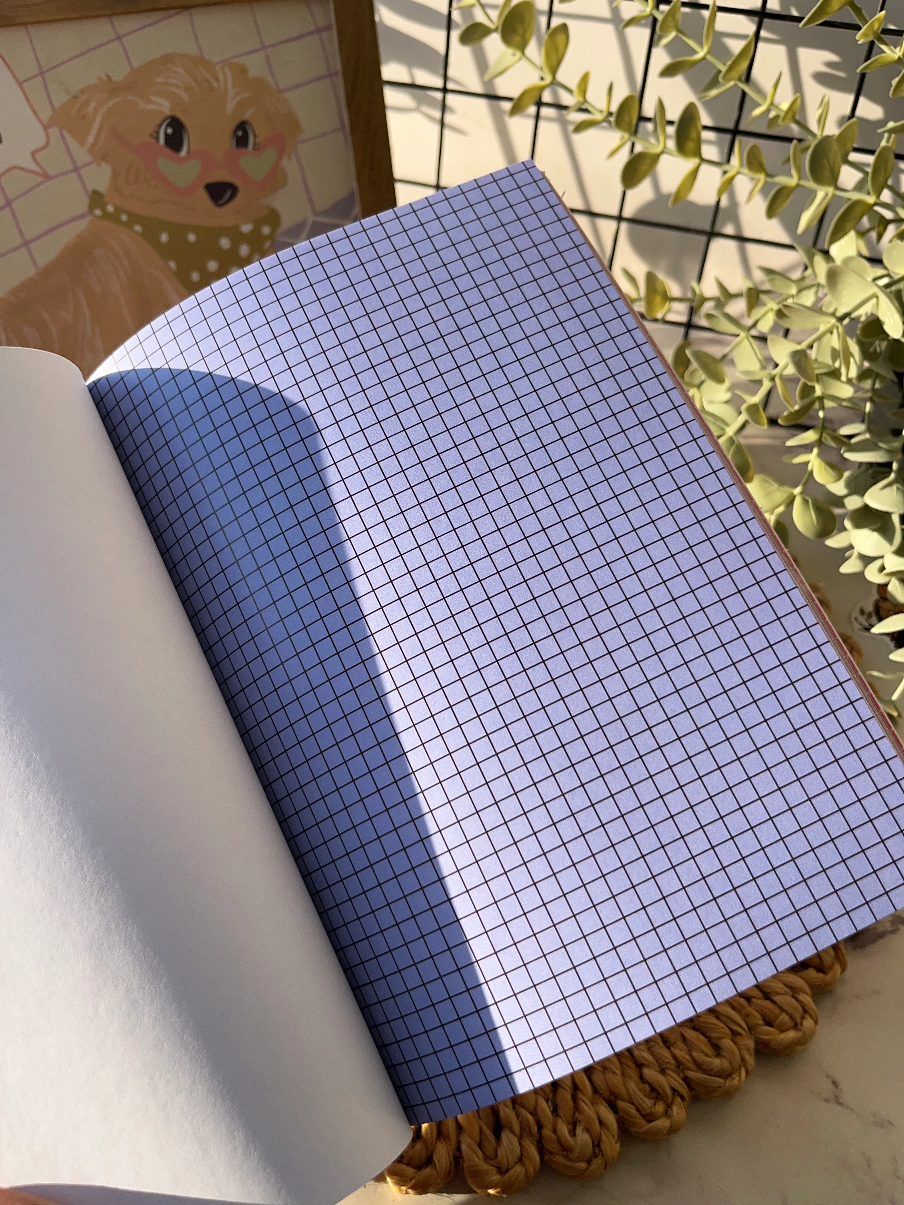 Thumbnail 13