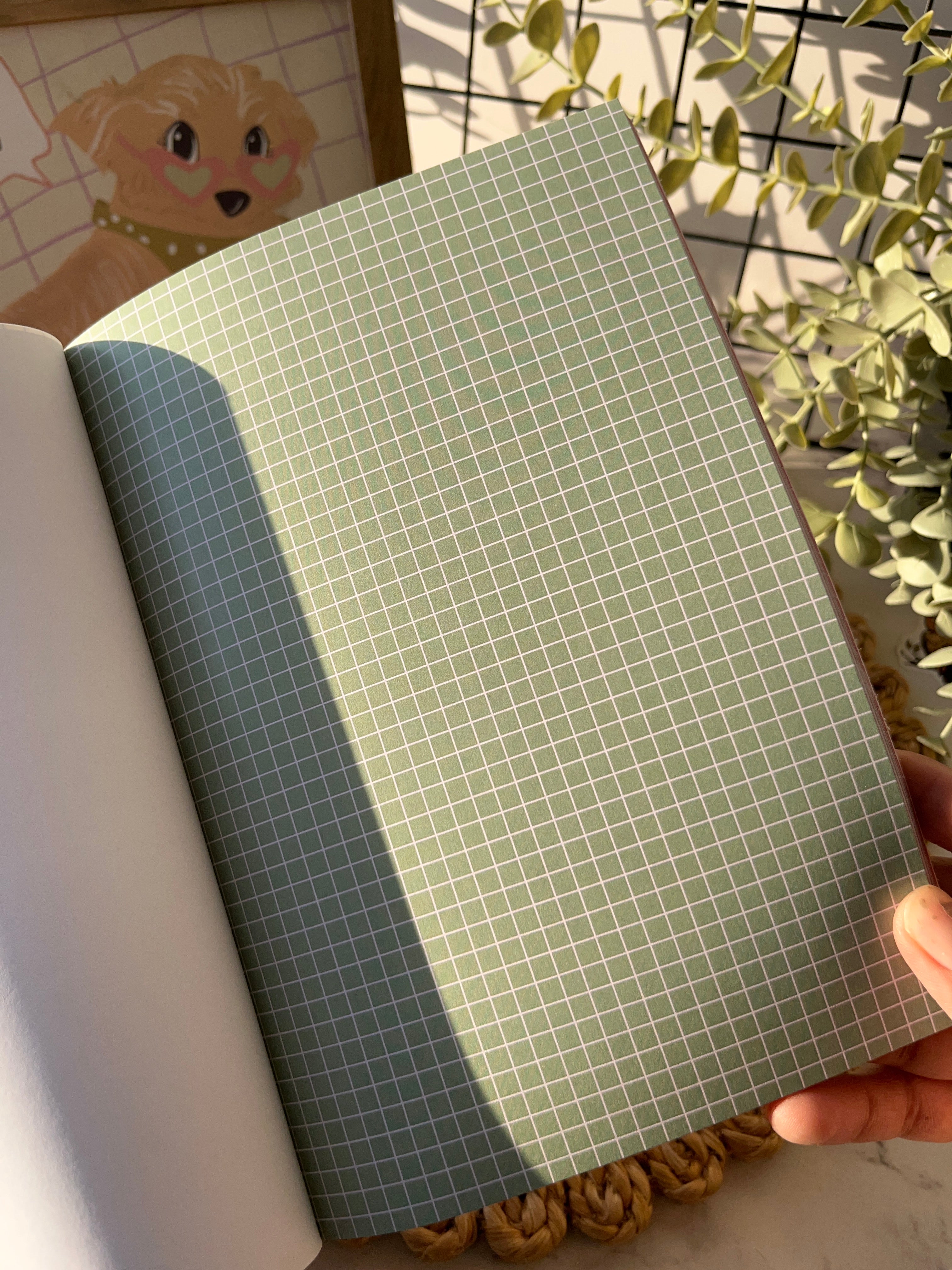 Thumbnail 6