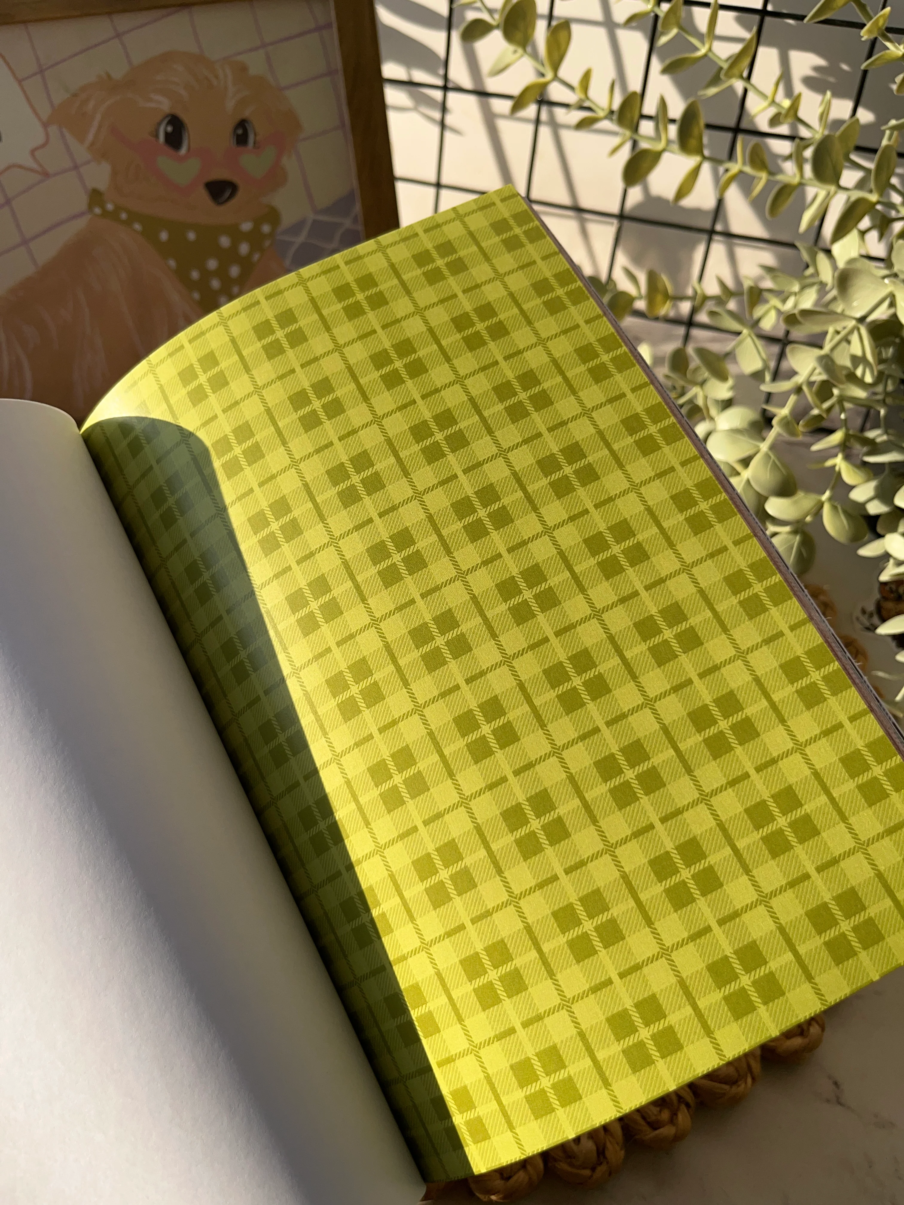 Thumbnail 14